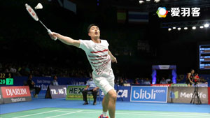 的球队都在 的球队都在