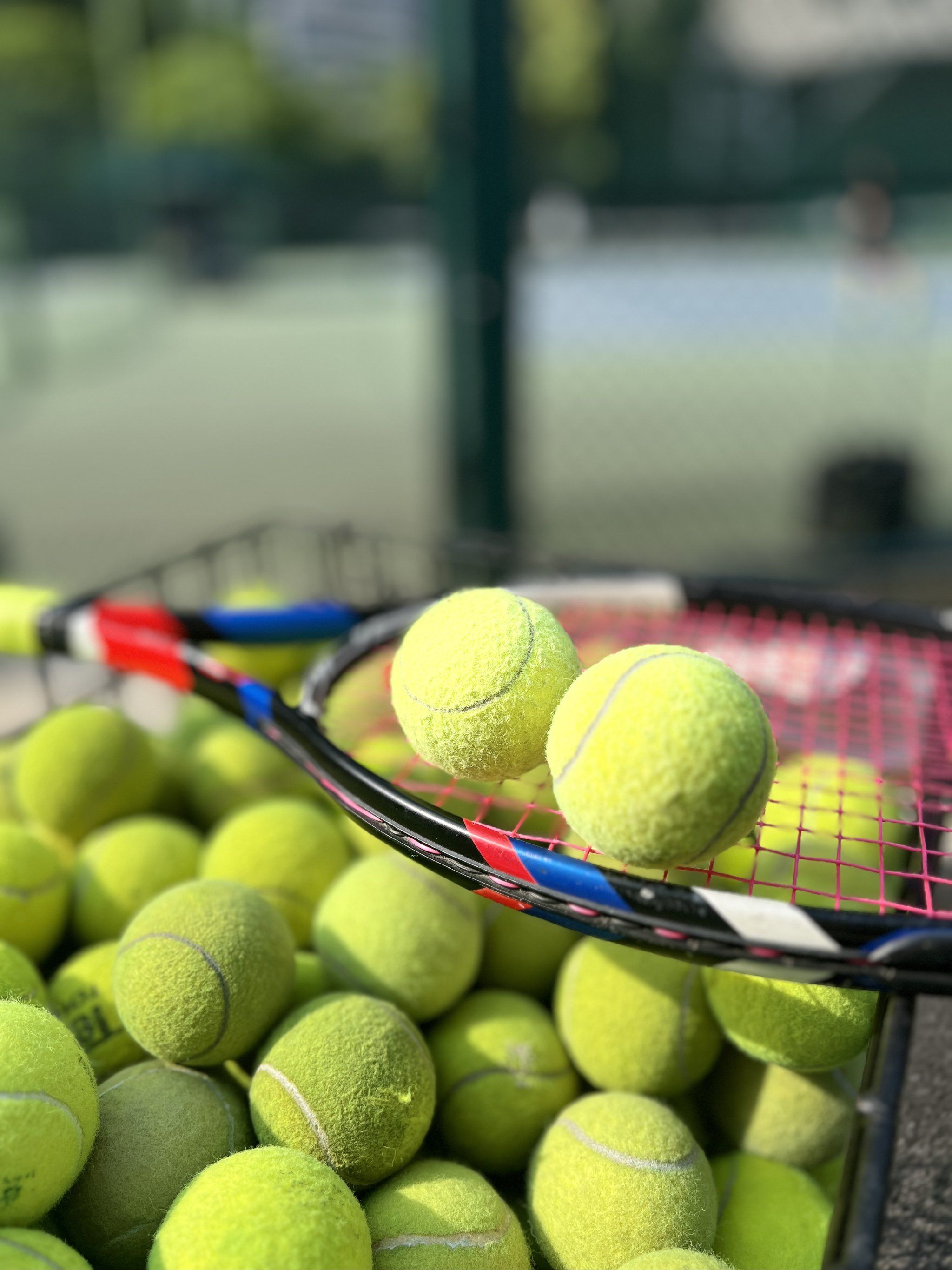 TA记者热 TA记者热