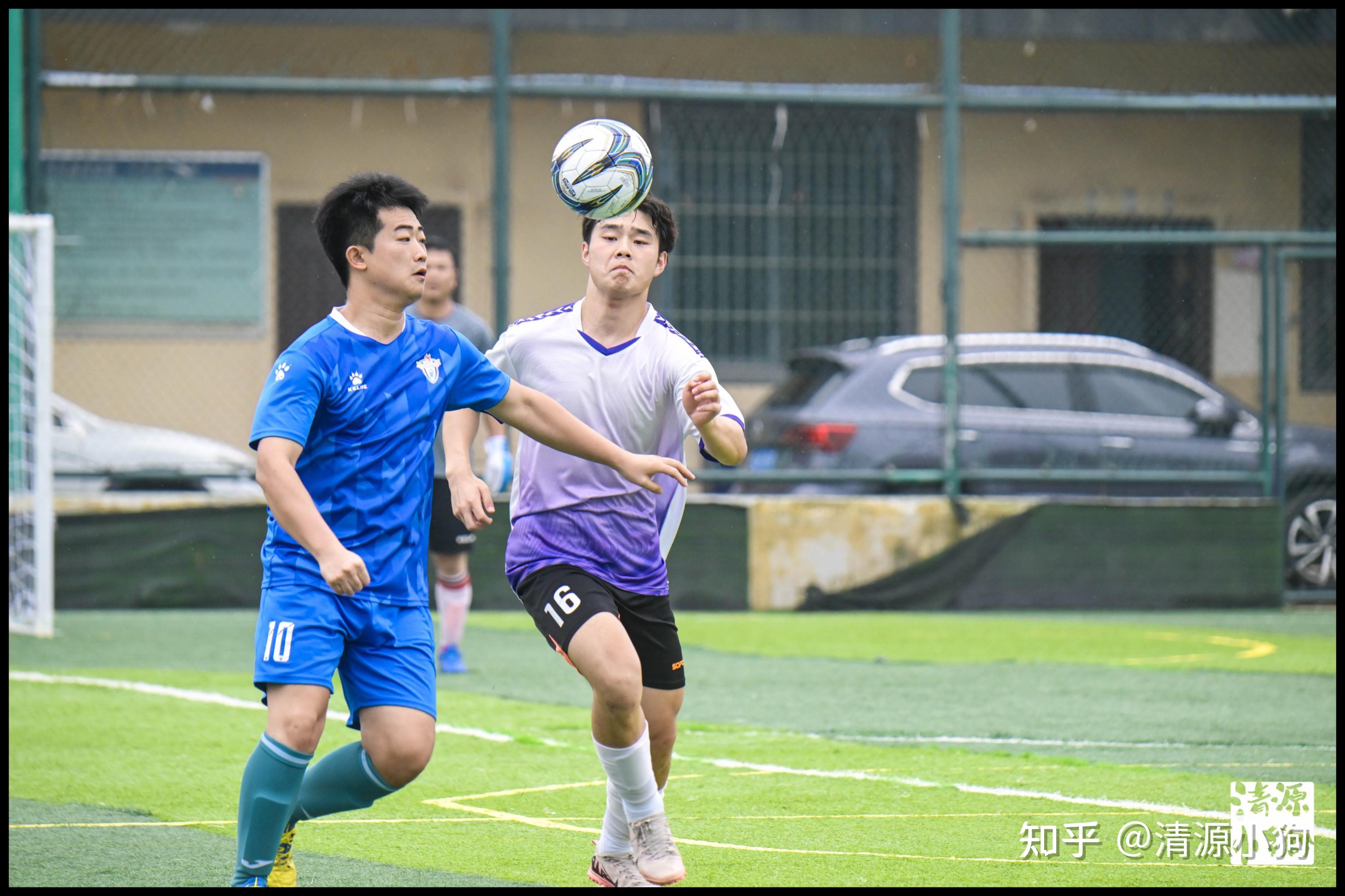 释放阿凡达 释放阿凡达